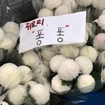 나 스위트홈 보는데