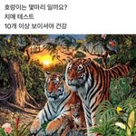 [19] <b>치매</b> 테스트.jpg 난 합격함 ㅅㄱ