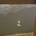 [ㅈㄱㄴ] 나 <b>enfp</b> 곧 21되는 판녀 질문 받음