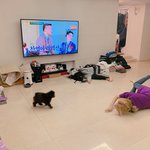 아 이거 귀여워 ㅋㅋㅋㅋㅋㅋㅋ