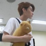 [드루와] 내본진 초반에 애착인형 갖고다님