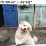 교복 예쁘게 입는 법 <b>공유</b>하자!