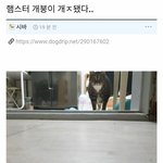 ㅋㅋ 방금 수능<b>성적표</b> 봤는데