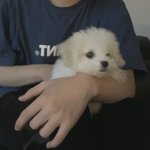 [NCT즌] 천러 강<b>쥐</b> 이름 <b>대갈</b>이