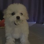 [NCT즌] 나 지금 대갈이 봤는데