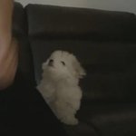 천러집 어디야