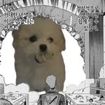 [NCT즌] #시즈니는지금대갈<b>열풍</b>