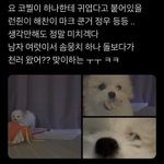 [NCT즌] 대갈이 <b>역하렘</b> 세상에 사는듯