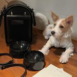 <b>행크</b>가 생로랑에게 받은 선물 모아봄