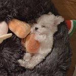 [NCT즌] <b>대갈</b>이<b>이</b>사진어디애올라옹거야