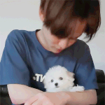 [NCT] [ 201223 ] 떡밥 정리해줄게 우리 즈니들은 보기만...