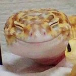 아 죽고싶다.. 옷 태그 안떼고 <b>독서</b>실감