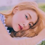 레벨 예리같은 사람들 너무 부럽다