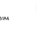 [댓글부탁해] 유라이크보다 인스타<b>필터</b>가 더❤