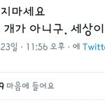 엓엘들 쉴드 웃겨
