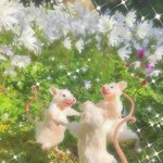 [드루와] 엄마한테 정신과 <b>가</b>보면 <b>안</b>되냐고 어떻게 말하지...