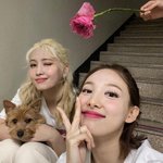 [댓글부탁해] 나 <b>사상</b> <b>처음</b>으로 곧 치맥한다