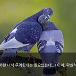 [댓글부탁해] 너희는 옷 <b>왜사</b>??
