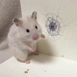 [드루와] 노래로 뒷북치는사람