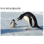[댓글부탁해] 나 밤새고 오늘 썸남 집 가는데
