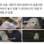 [NCT즌] 짹에서 주운건데 나 지금 <b>뚝배기</b> 깨는중