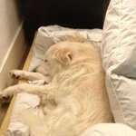 겨울 되니 더 떨어질 생각 없는 껌<b>딱지</b>들