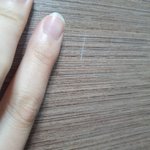 [방탈죄송] 사람이 <b>쌈닭</b>이 되어가는 과정
