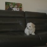 [NCT즌] 스엠은 이제 무한<b>확장</b> 그만하겠다고 말 해야됨