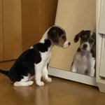 [NCT즌] <b>크리스마스</b>에도 까질하는 갤련 상대하지 말고