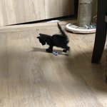 새벽에 울 고영희 자랑하고 <b>튀튀</b>한 사람이야