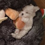 05인데 우리 입시 특목고가 유리해?