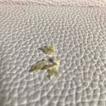 야야 오랜<b>마네</b> 귀파봤음 ㅋㅋ