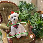 [NCT] <b>ah</b> 념념이 너무귀엽다..