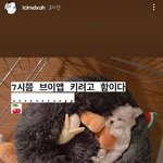 [모두드루와] 엔시티즌 인증한 파나틱스 <b>도아</b>