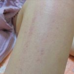 얘들아 댕댕이 <b>산책</b> 무조건 매번 똑같은 길로만 가..