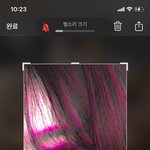 나 이거 약간 <b>토미에</b>(욕하지마ㅜ)늭김 나지 않음??