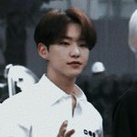 [이것좀봐줘] <b>입덕</b> 3주차 최애한테 댓글 두 번 받음