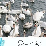 <b>이말년</b>: 슬픔 나누지 마세요