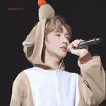 [NCT즌] 황런쥔 개에<b>바인</b>점