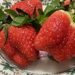 인생망한것같아 너무 우울함