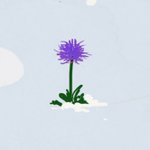 [방탄소년단] 하 진짜ㅏㅏㅏㅏㅏ