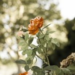 [ㅈㄱㄴ] 나 엠비티아이 진짜 개 과몰입러임