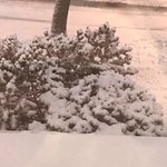 <b>북미</b> 사는 애들아 메리 크리스마스☃️