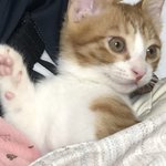 [드루와] 엔시티 왜 안 나옴 나 울어