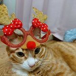 [모두드루와] <b>자자</b> 싸우지덜 말고 이거 보고 맘풀어
