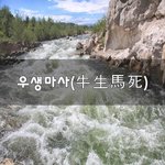 [좋은생각] 우생<b>마사</b>(牛生馬死)