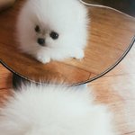 집안일은 진짜 <b>악순환</b>임...
