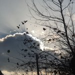 연말<b>이</b>가 <b>이브</b>에 찍은 사진 베스트