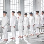 [펜타곤] <b>닥터</b>베베 진짜