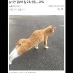 [댓글부탁해] bs11 <b>렌즈</b> 껴 본 사람 있냐